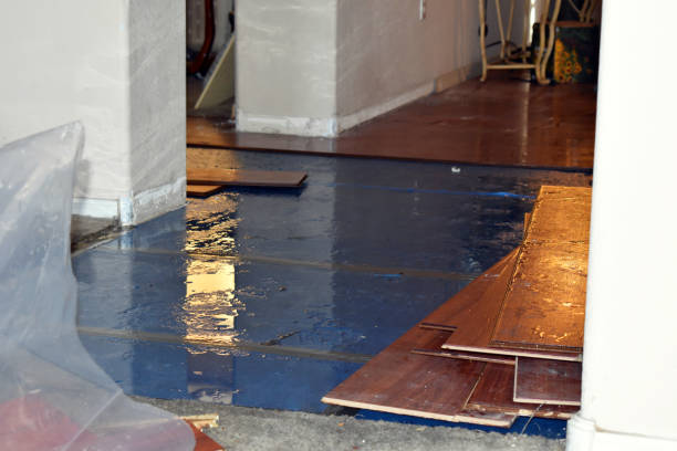 Professional Water Damage Repair technician working in Valhermoso Springs, AL